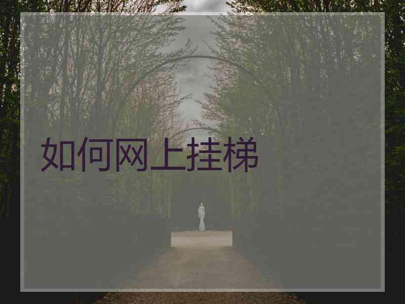 如何网上挂梯