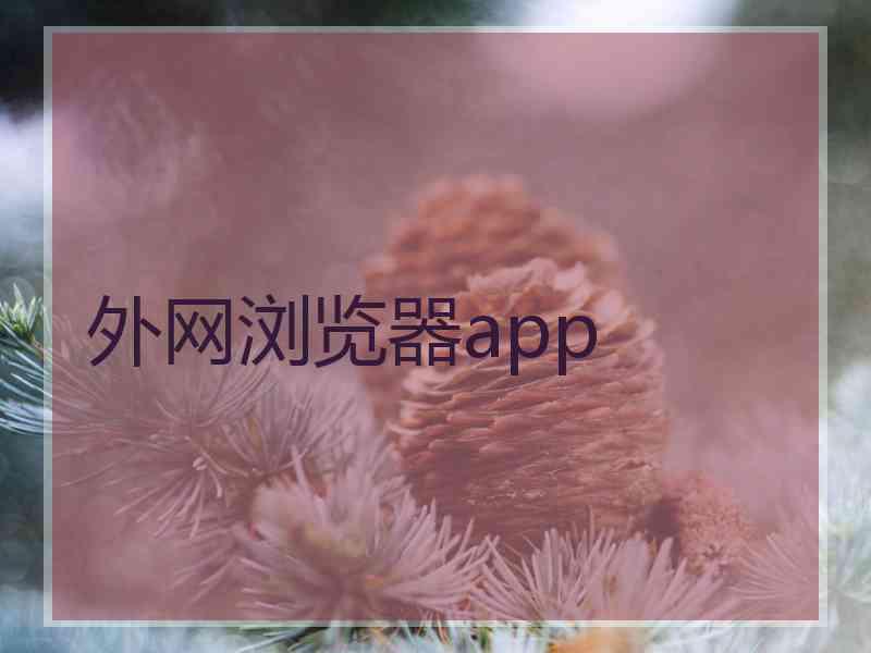外网浏览器app