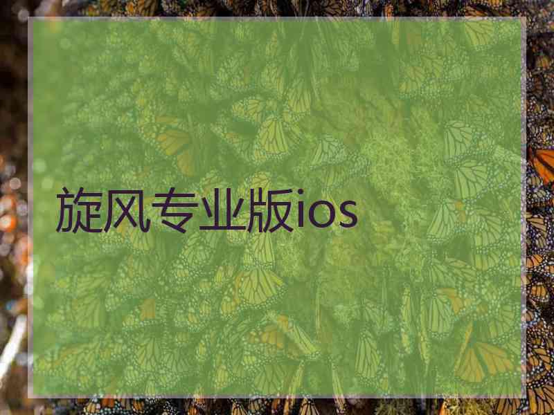 旋风专业版ios