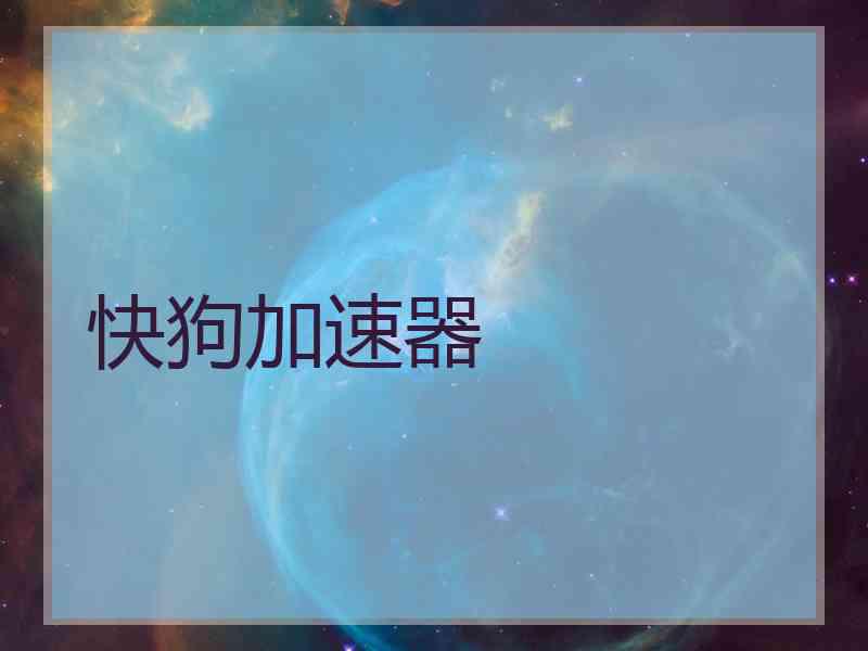 快狗加速器