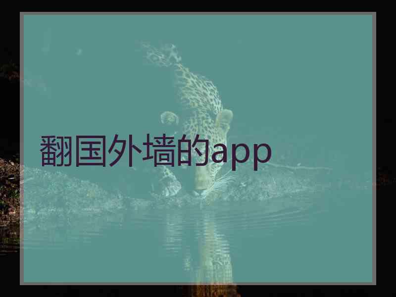 翻国外墙的app