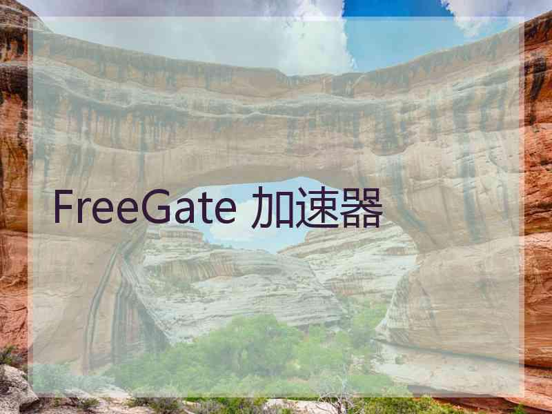 FreeGate 加速器