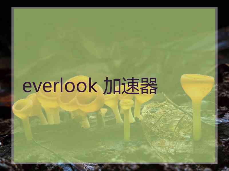 everlook 加速器