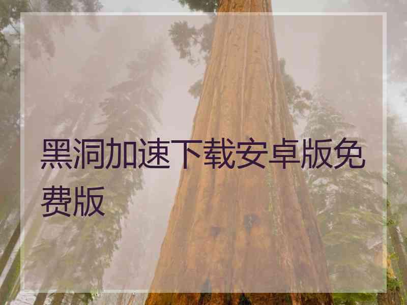 黑洞加速下载安卓版免费版