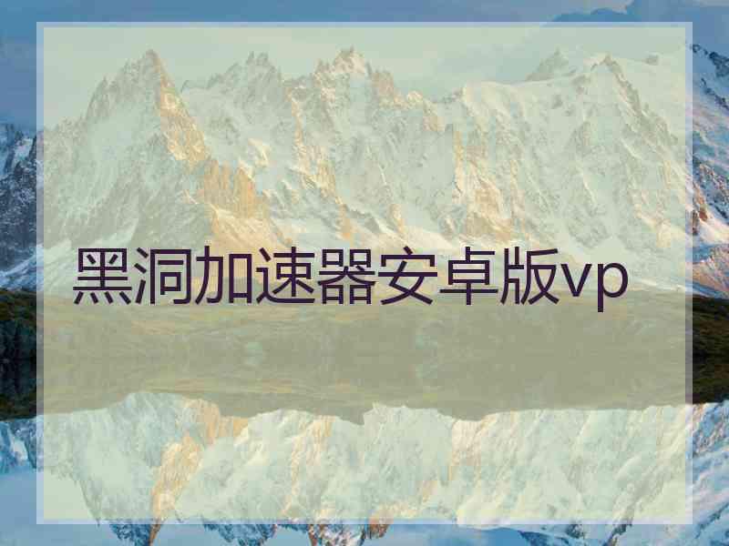 黑洞加速器安卓版vp
