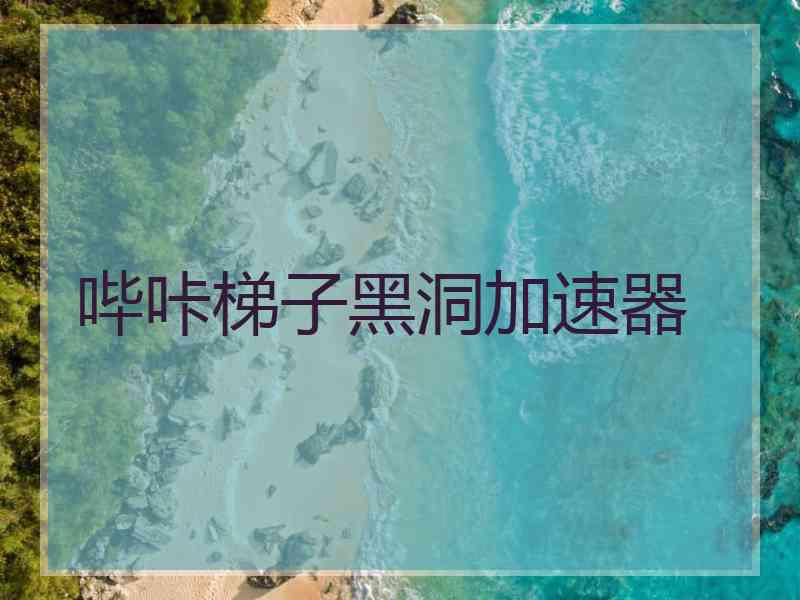 哔咔梯子黑洞加速器