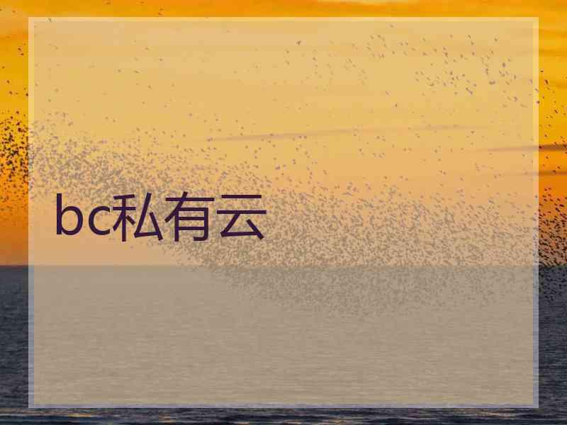 bc私有云
