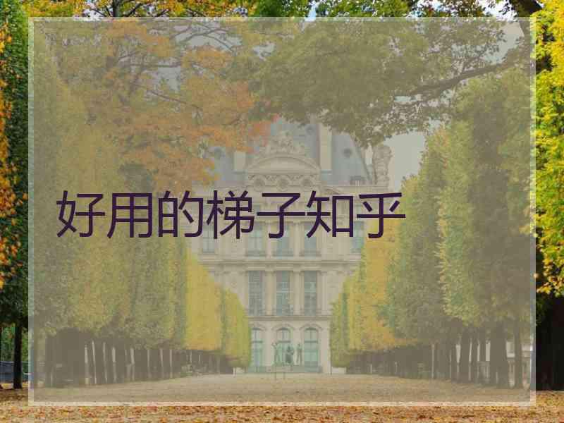 好用的梯子知乎