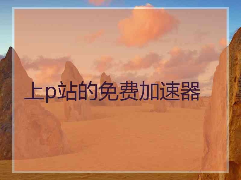 上p站的免费加速器