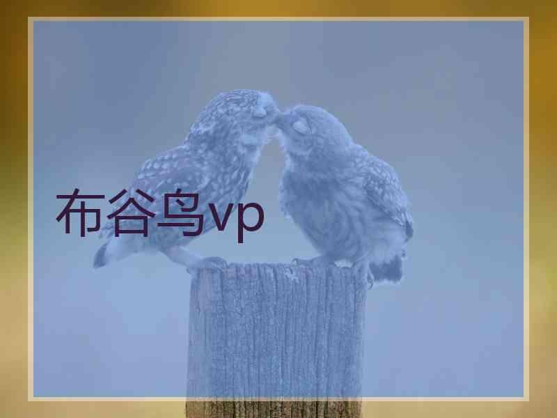布谷鸟vp