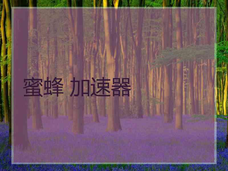 蜜蜂 加速器