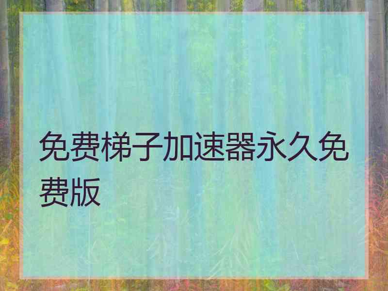 免费梯子加速器永久免费版
