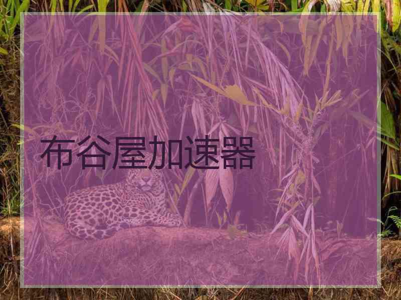 布谷屋加速器