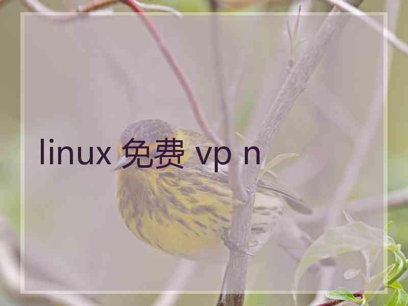 linux 免费 vp n