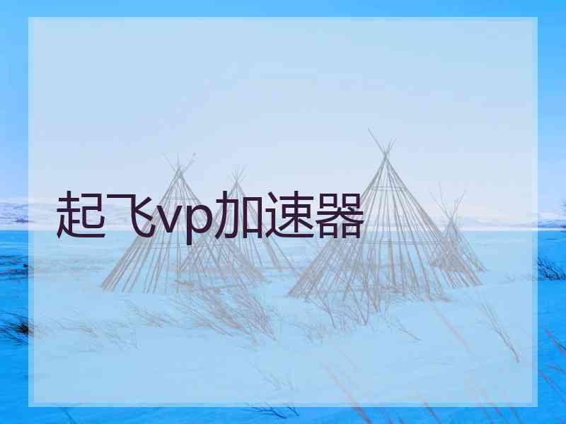 起飞vp加速器