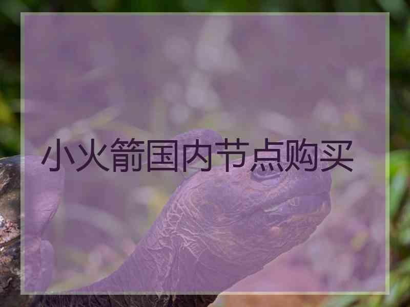 小火箭国内节点购买