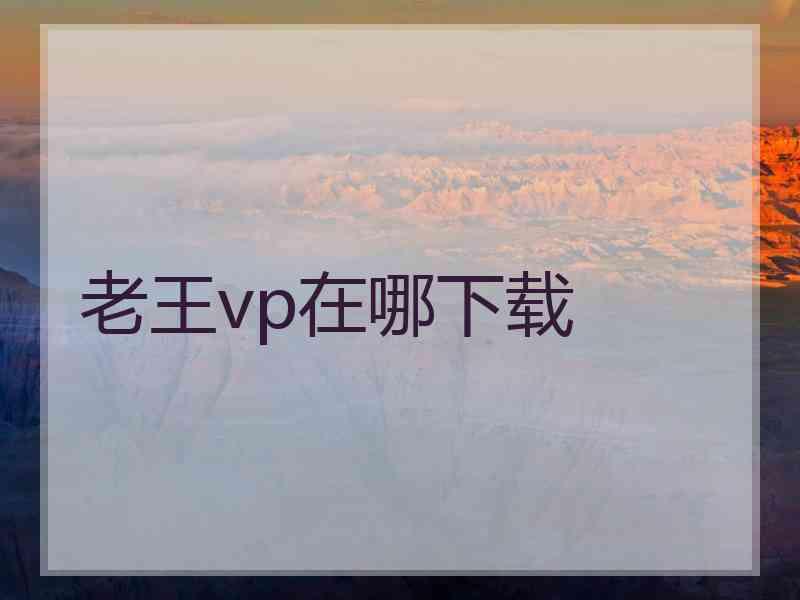 老王vp在哪下载