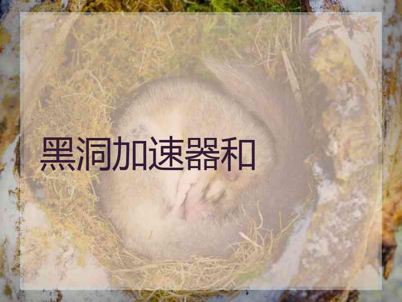 黑洞加速器和