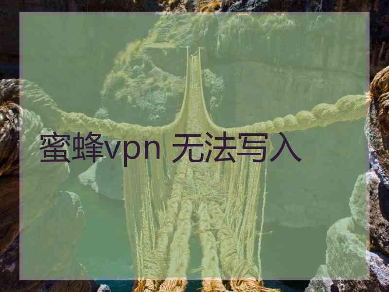 蜜蜂vpn 无法写入