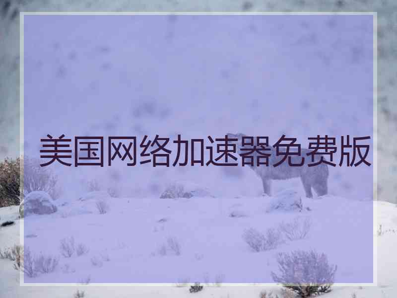 美国网络加速器免费版