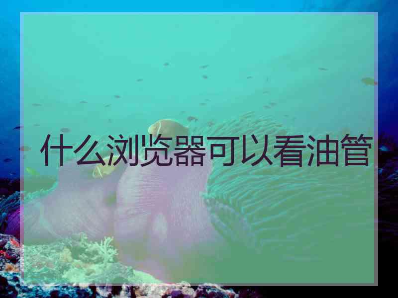 什么浏览器可以看油管