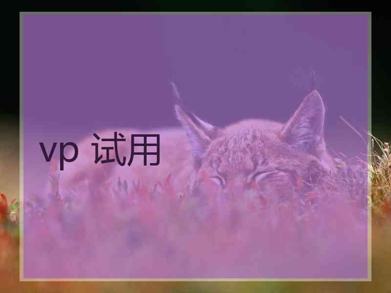 vp 试用