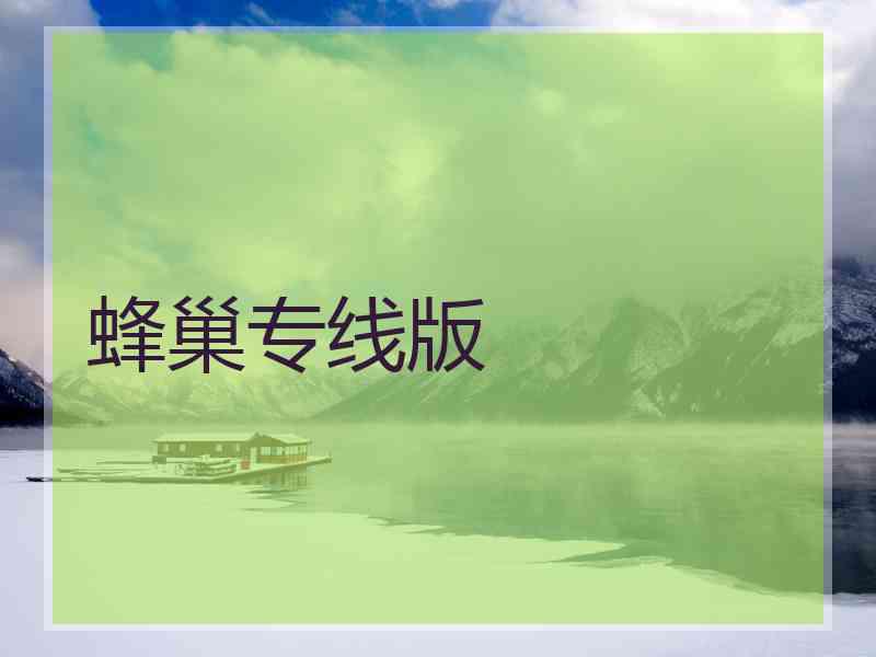 蜂巢专线版
