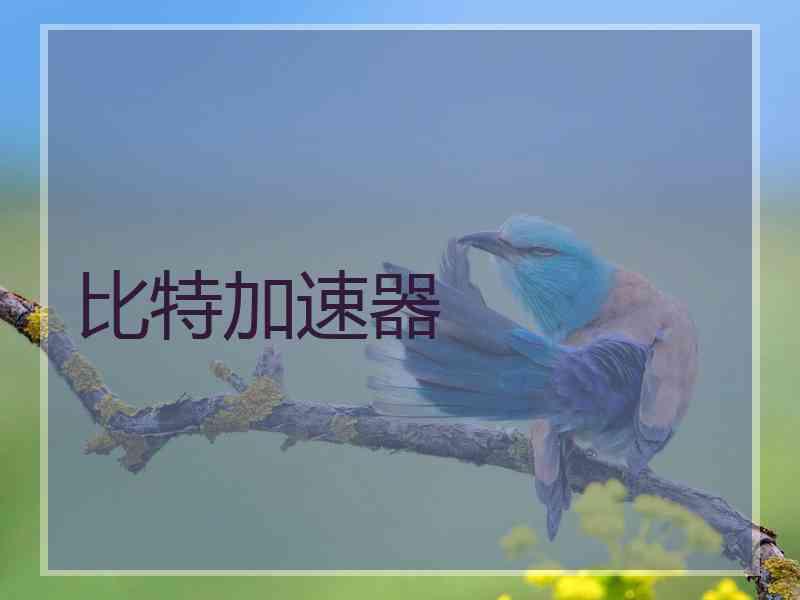 比特加速器