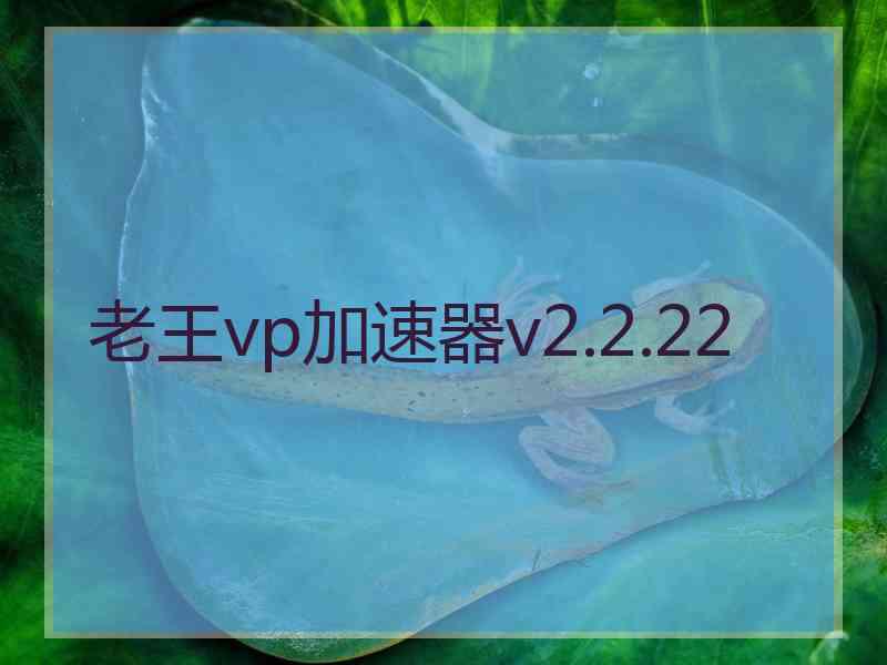 老王vp加速器v2.2.22