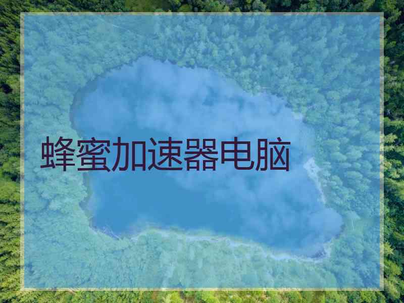 蜂蜜加速器电脑