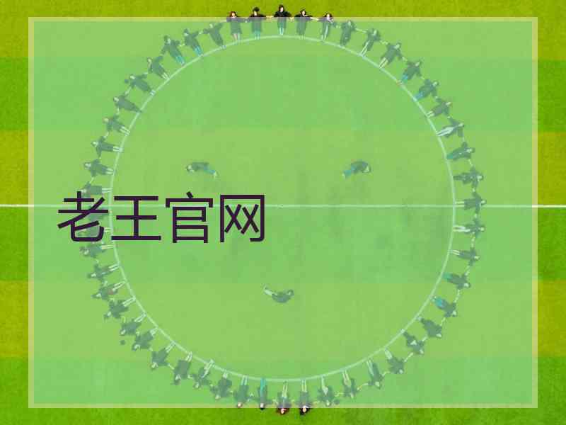 老王官网