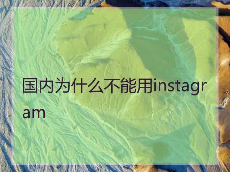 国内为什么不能用instagram