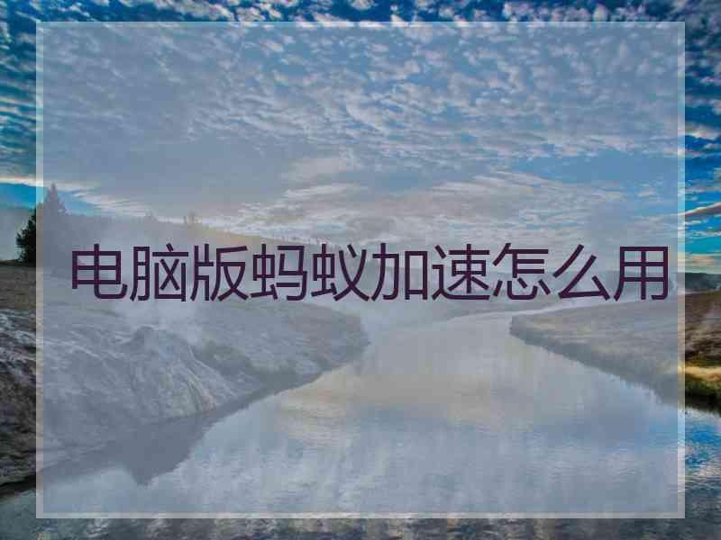 电脑版蚂蚁加速怎么用