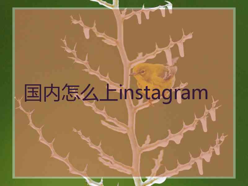 国内怎么上instagram