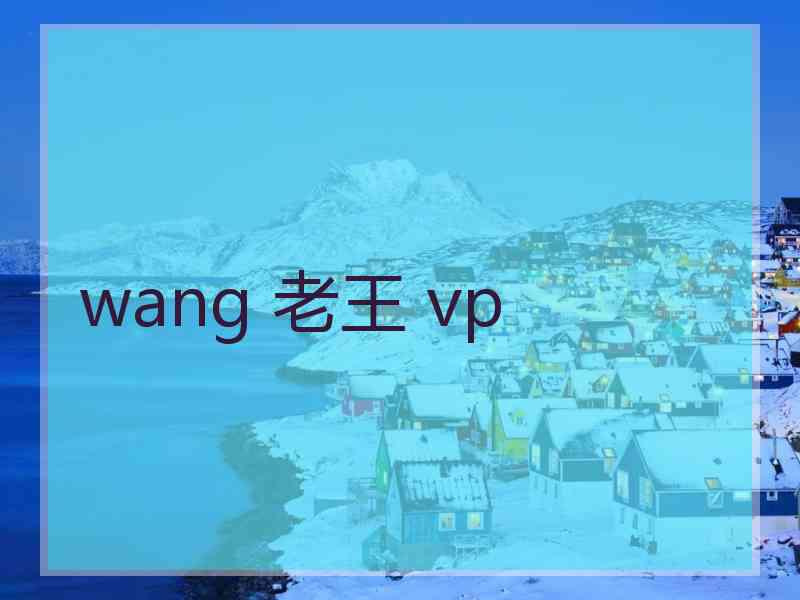 wang 老王 vp