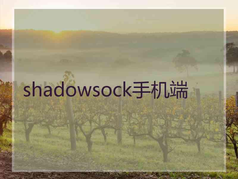 shadowsock手机端