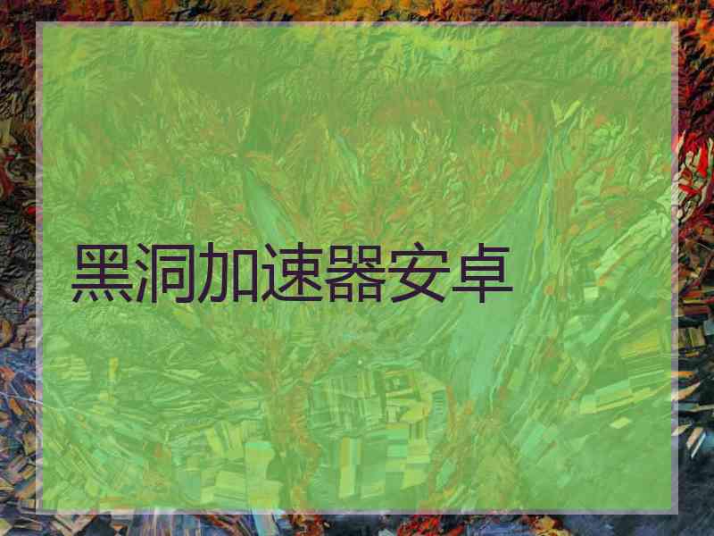 黑洞加速器安卓