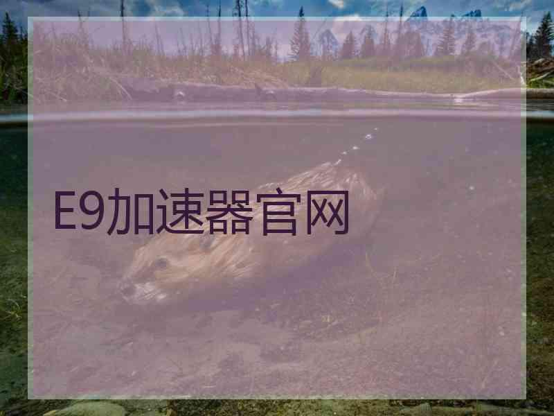 E9加速器官网