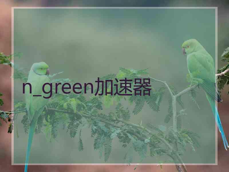 n_green加速器