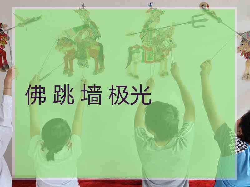 佛 跳 墙 极光