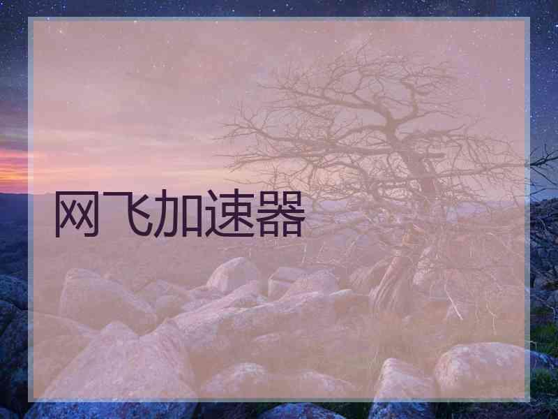 网飞加速器