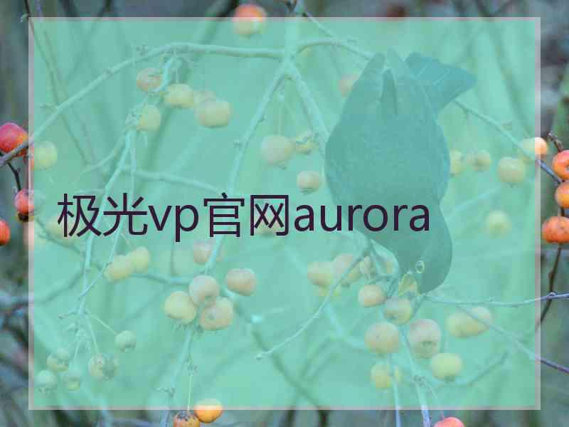 极光vp官网aurora