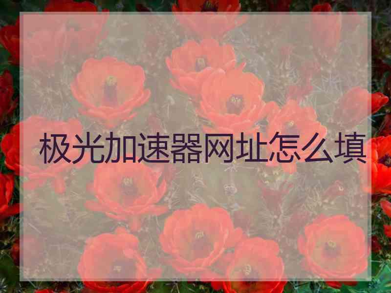 极光加速器网址怎么填