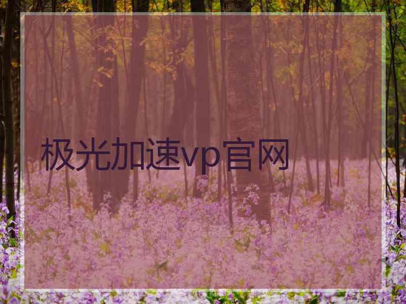 极光加速vp官网