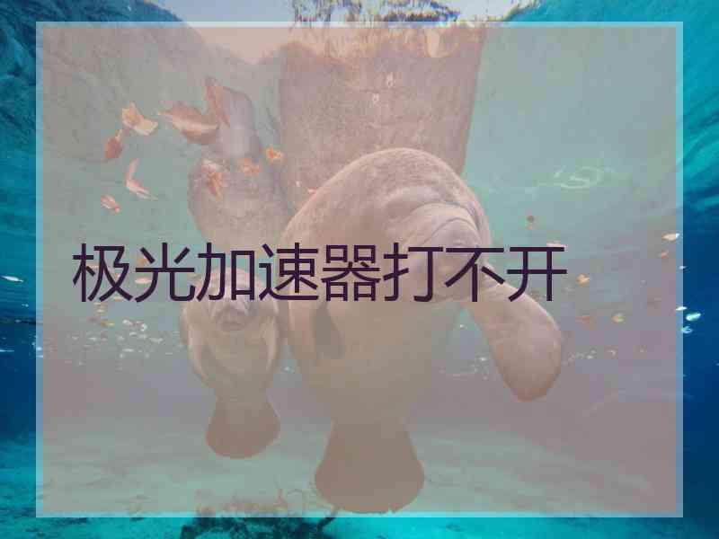 极光加速器打不开