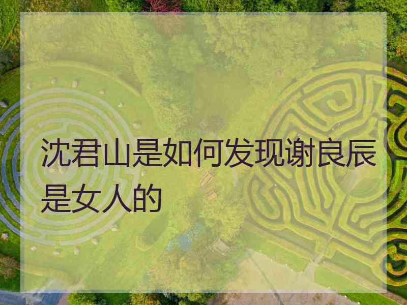 沈君山是如何发现谢良辰是女人的