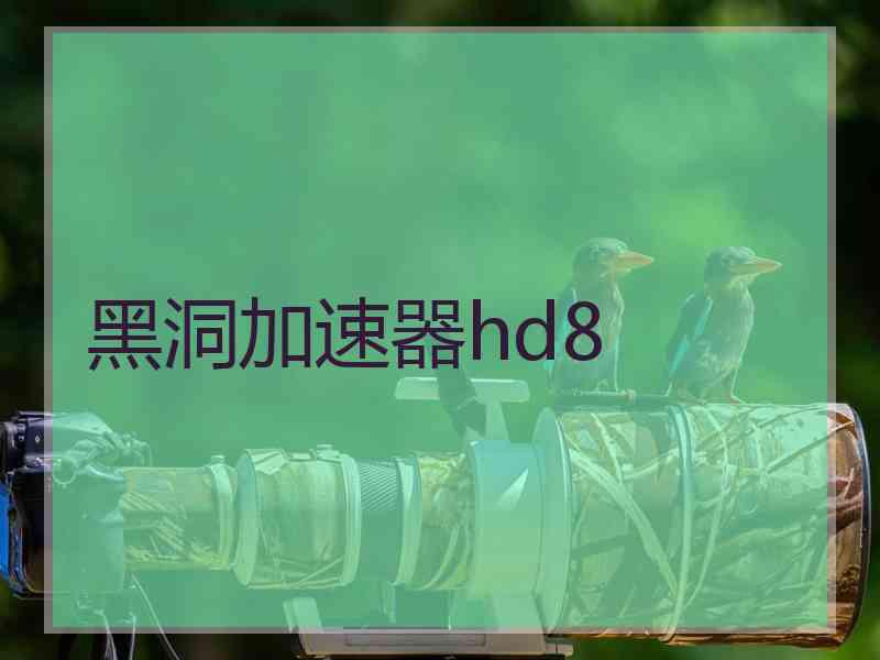 黑洞加速器hd8