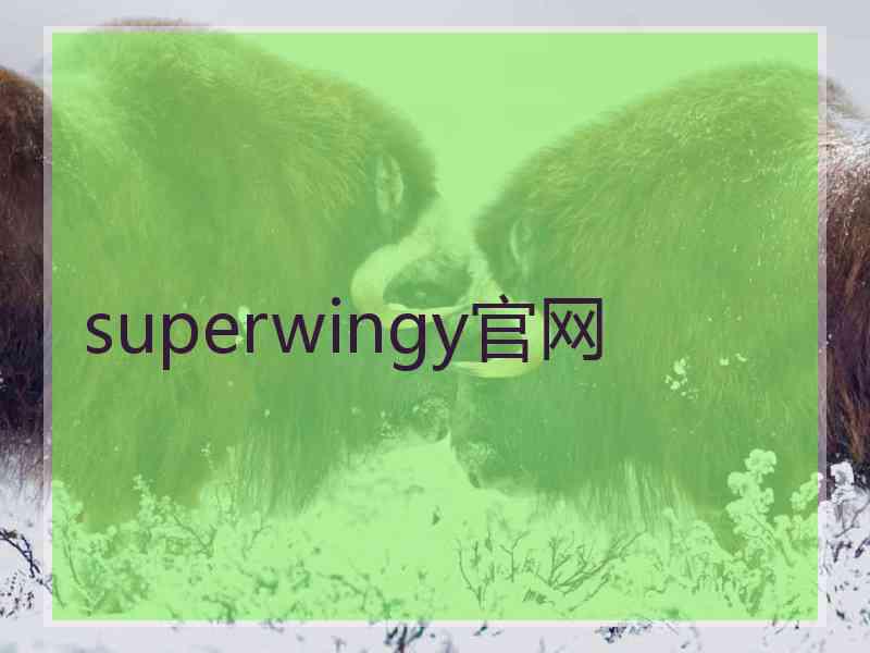 superwingy官网