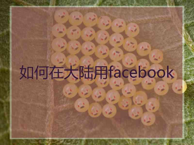 如何在大陆用facebook