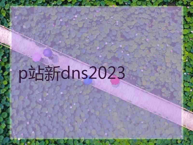 p站新dns2023